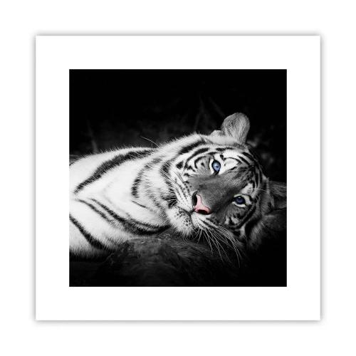 Affiche - Poster - Sauvagerie et paix - 30x30 cm