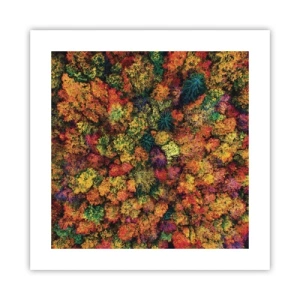 Affiche - Poster - Bouquet d'arbres automnal - 40x40 cm
