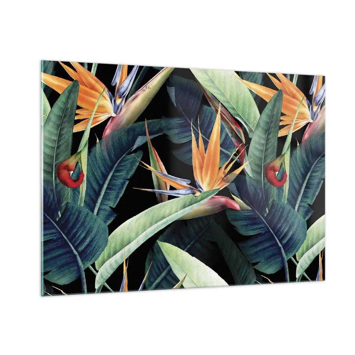 Impression sur verre - Image sur verre - Fleurs de Strelitzia et feuilles tropicales sur fond noir - 100x70cm - Fleurs flamboyantes des tropiques - Décoration murale moderne pour le salon et la chambre ARTTOR