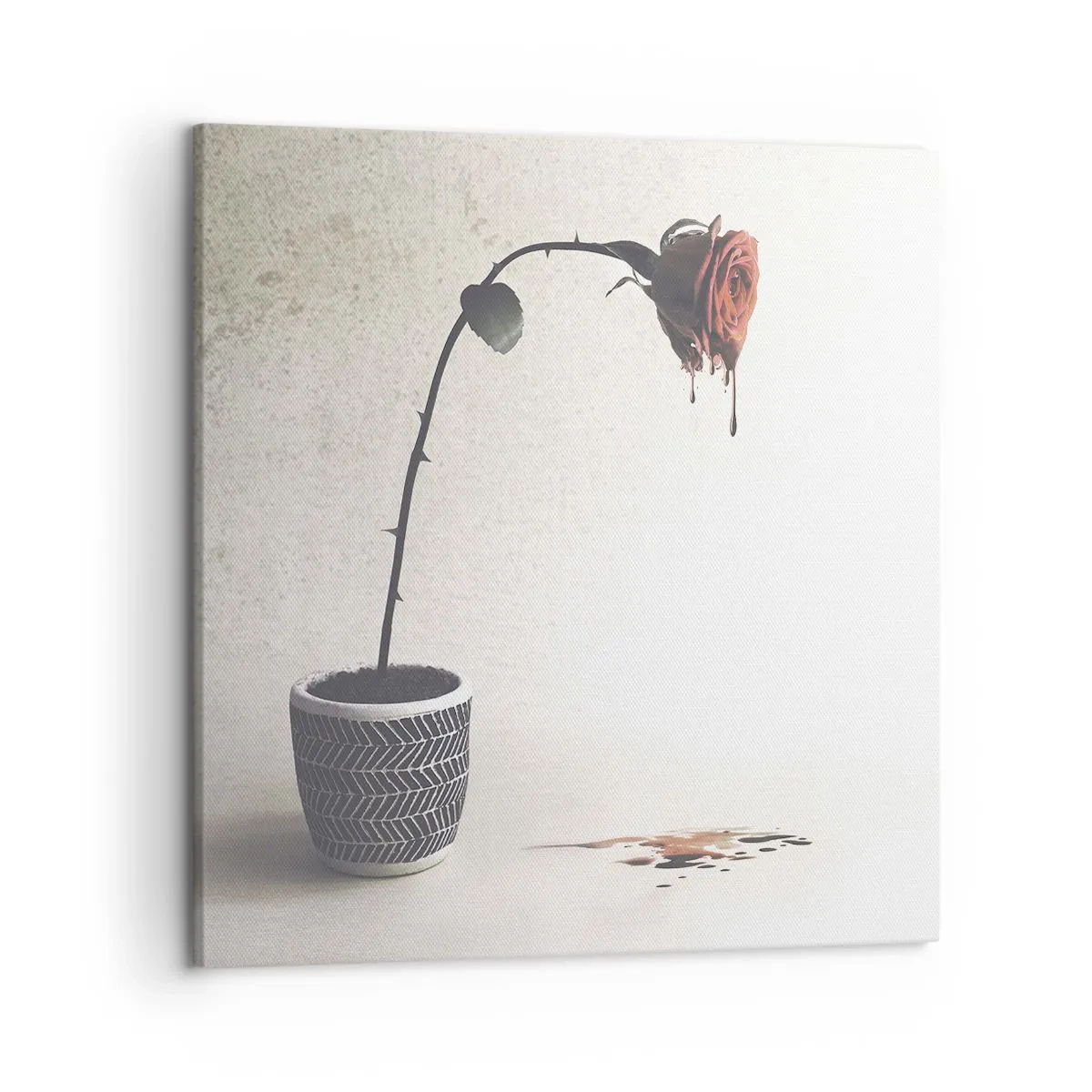 Impression sur toile - Image sur toile - Rosa dolorosa - 50x50 cm