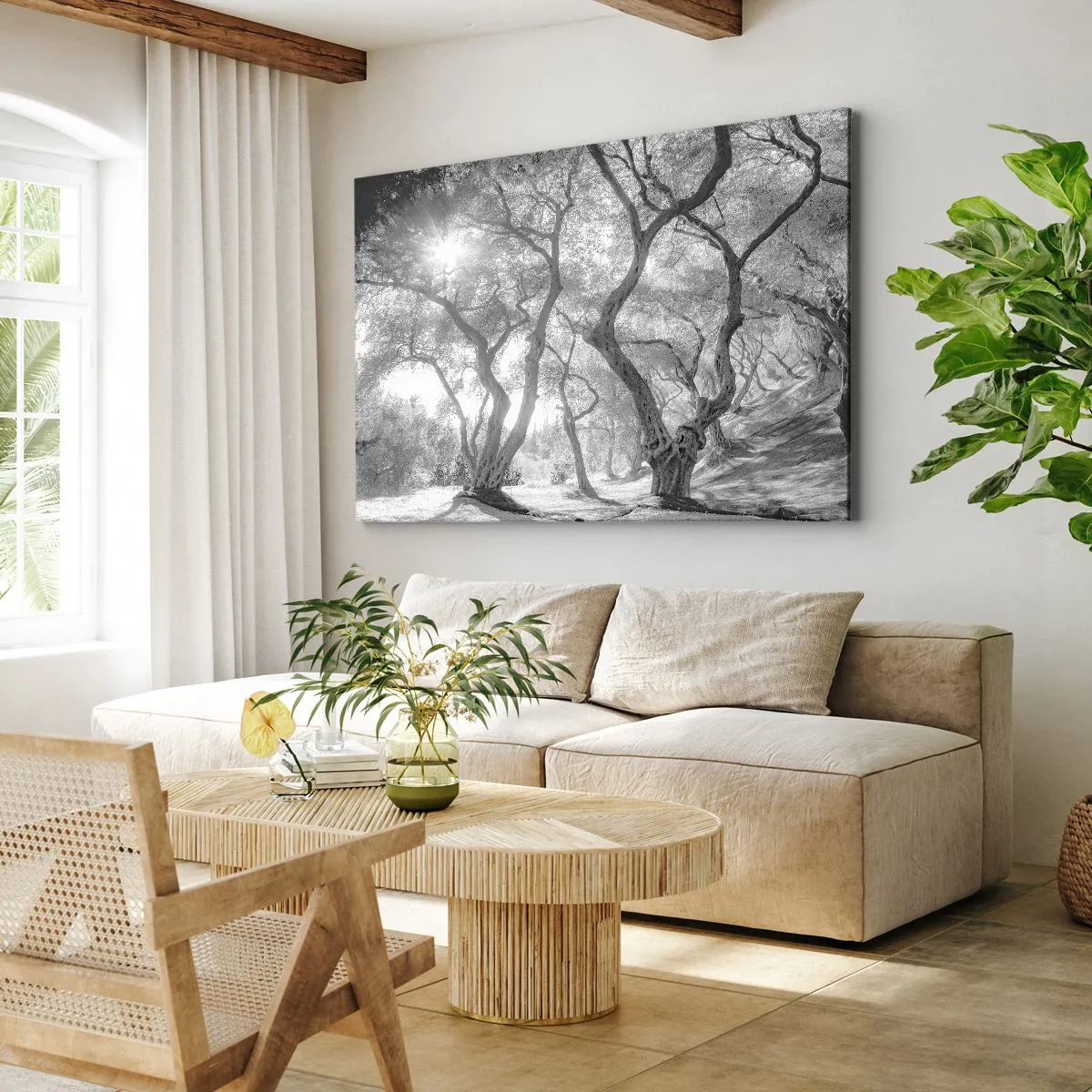 Impression sur toile - Image sur toile - Vue en noir et blanc d'arbres dans une oliveraie avec des rayons de soleil - 120x80cm - Dans l'oliveraie - Décoration murale moderne pour le salon et la chambre ARTTOR