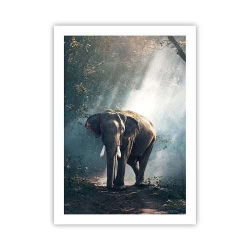 Affiche - Poster - Un éléphant se prélassant au soleil dans une forêt dense - 50x70cm - Une balade tranquille - Décoration murale moderne pour le salon et la chambre ARTTOR