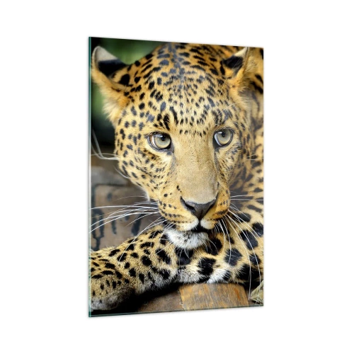 Impression sur verre - Image sur verre - Léopard se reposant sur une surface en bois - 50x70cm - N'aie pas peur, viens - Décoration murale moderne pour le salon et la chambre ARTTOR