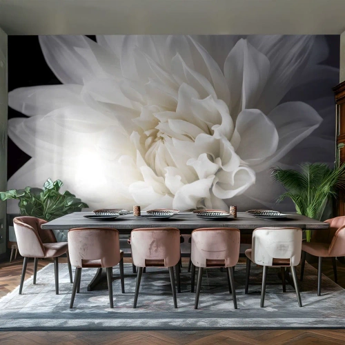 Papier peint sur mesure Autocollant Deluxe - Le matin de la jeune mariéé - Fleur, Dahlia, Nature