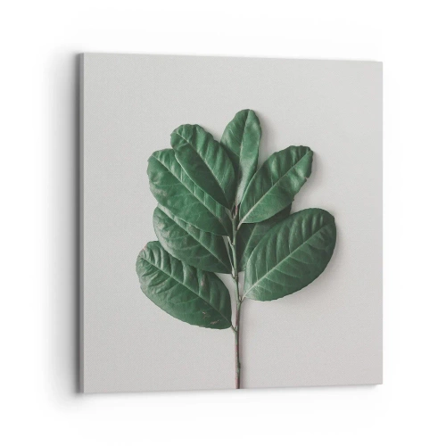 Impression sur toile - Image sur toile - Dessin de la nature elle-même - 70x70 cm