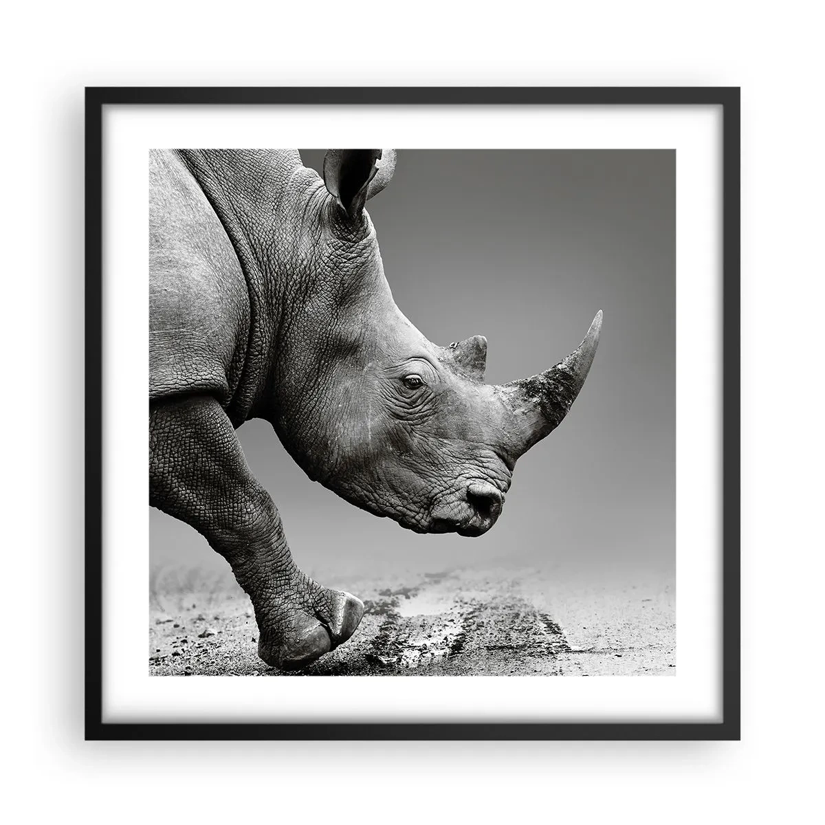 Affiche dans un cadre noir - Poster - Force inarrêtable - 50x50 cm