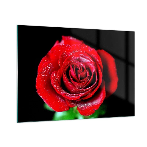 Impression sur verre - Image sur verre - Une rose rouge couverte de gouttes de rosée sur un fond sombre - 100x70cm - C'est ça l'amour - Décoration murale moderne pour le salon et la chambre ARTTOR