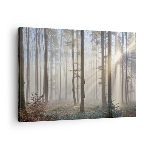 Impression sur toile - Image sur toile - Une forêt dans un léger brouillard avec des rayons de soleil qui brillent à travers les arbres - 70x50cm - Le brouillard s'est aussi réveillé - Décoration murale moderne pour le salon et la chambre ARTTOR