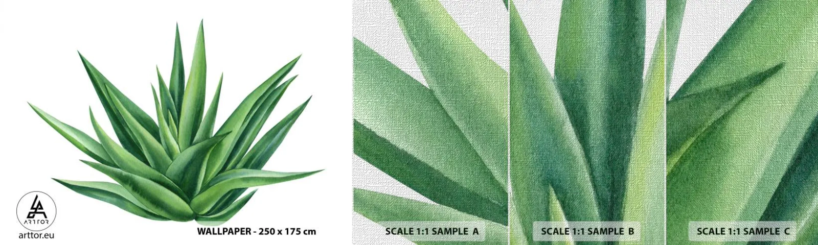 Échantillon de Papier Peint Premium Canvas - Vert – force – vie - Usine, Aloès, Botanique - 100x30 cm
