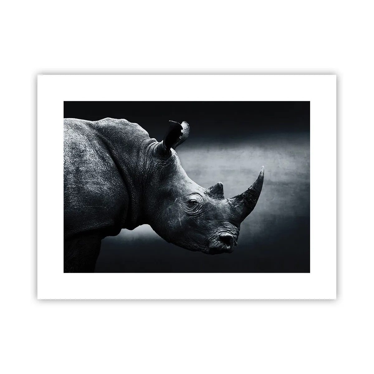 Affiche - Poster - Le profil droit - 40x30 cm