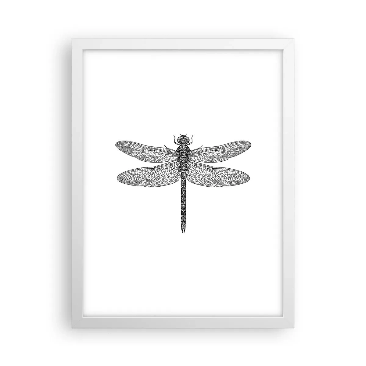 Affiche dans un cadre blanc - Poster - Précision de la nature - 30x40 cm