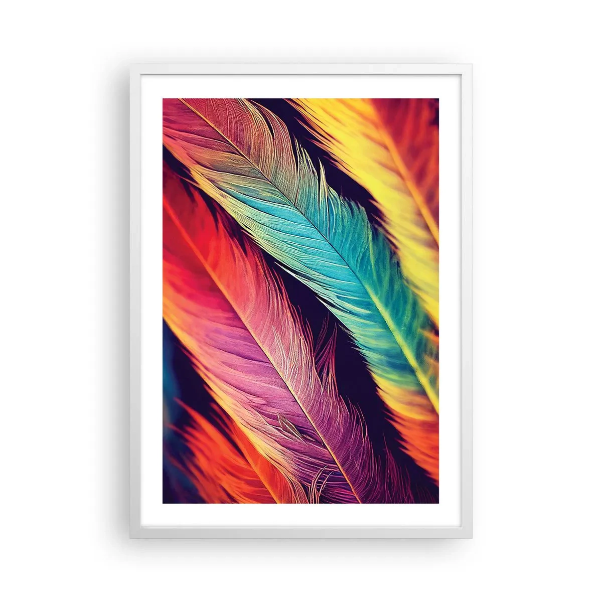 Affiche dans un cadre blanc - Poster - Arc-en-ciel de plumes - 50x70 cm
