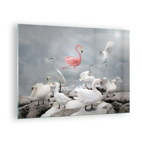 Impression sur verre - Image sur verre - Un flamant rose parmi des cygnes blancs et des hérons contre l'eau - 70x50cm - Comment suis-je arrivé là? - Décoration murale moderne pour le salon et la chambre ARTTOR