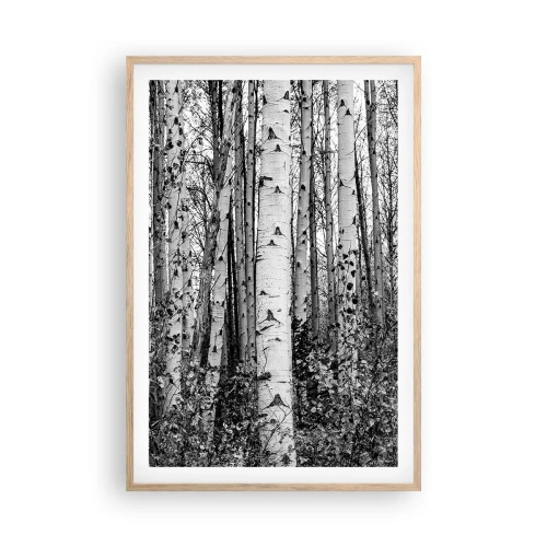 Affiche dans un chêne clair - Poster - Enchevêtrement de bouleau - 61x91 cm
