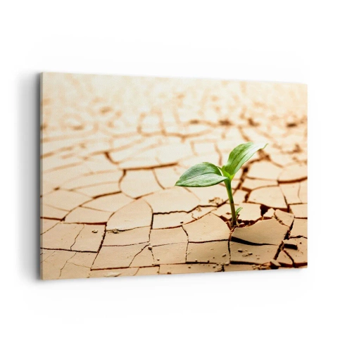 Impression sur toile - Image sur toile - Une plante verte poussant sur une terre sèche et craquelée - 120x80cm - La force indomptable de la vie - Décoration murale moderne pour le salon et la chambre ARTTOR
