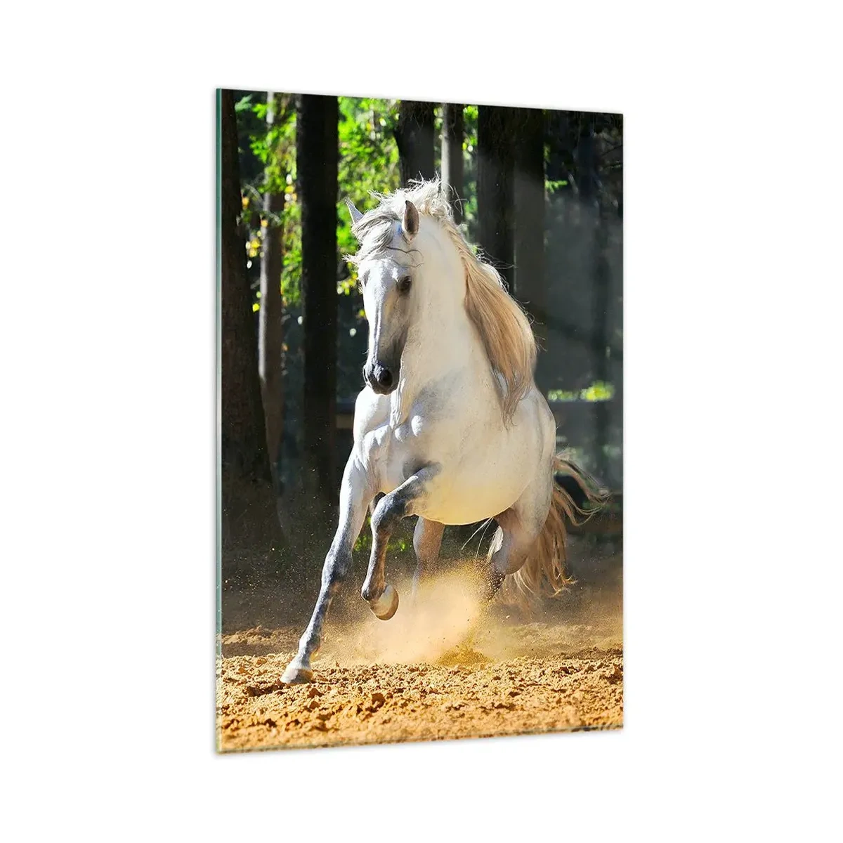 Impression sur verre - Image sur verre - Un cheval blanc galopant dans une clairière forestière - 80x120cm - Comme dans un roman fantastique - Décoration murale moderne pour le salon et la chambre ARTTOR