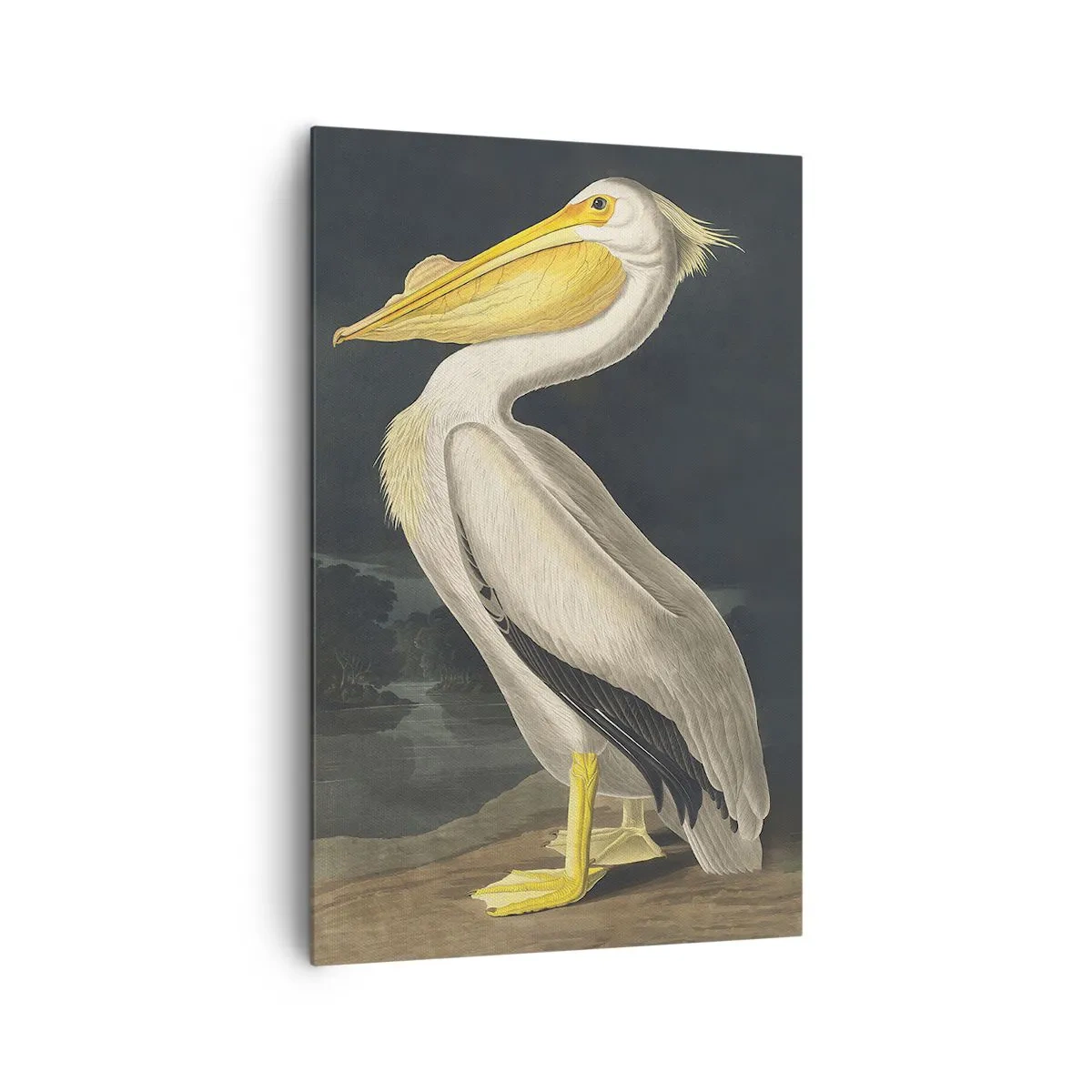 Impression sur toile - Image sur toile - Plein de fierté - 80x120 cm