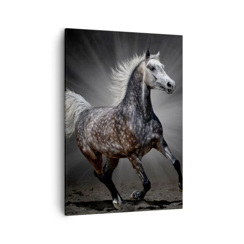 Impression sur toile - Image sur toile - Un cheval blanc galopant sur un fond sombre - 50x70cm - Le gris est beau - Décoration murale moderne pour le salon et la chambre ARTTOR