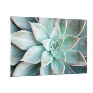 Impression sur verre - Image sur verre - Feuilles succulentes sèches avec une délicate teinte gris-vert - 120x80cm - Le coeur du désert - Décoration murale moderne pour le salon et la chambre ARTTOR