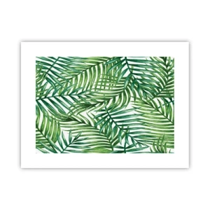 Affiche - Poster - Sous la canopée verte - 40x30 cm