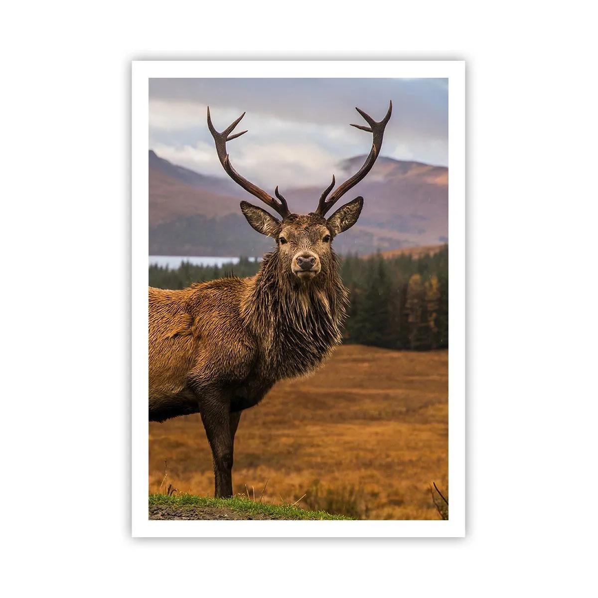 Affiche - Poster - Majesté de la nature - 70x100 cm