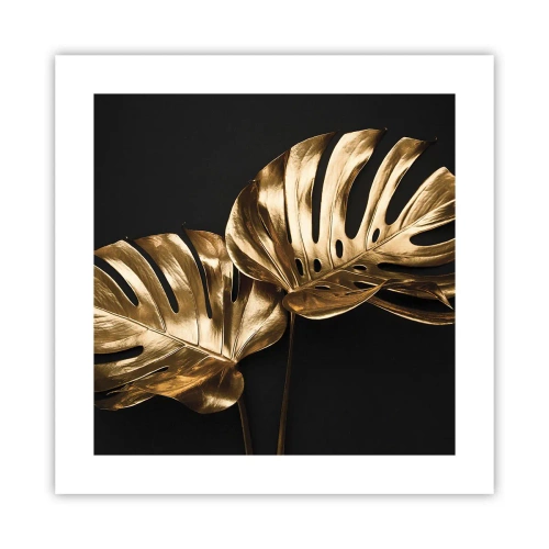 Affiche - Poster - Les trésors de la nature - 40x40 cm