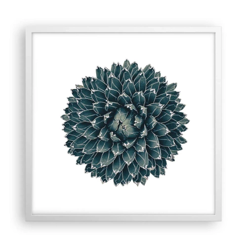 Affiche dans un cadre blanc - Poster - Étoile du désert - 50x50 cm