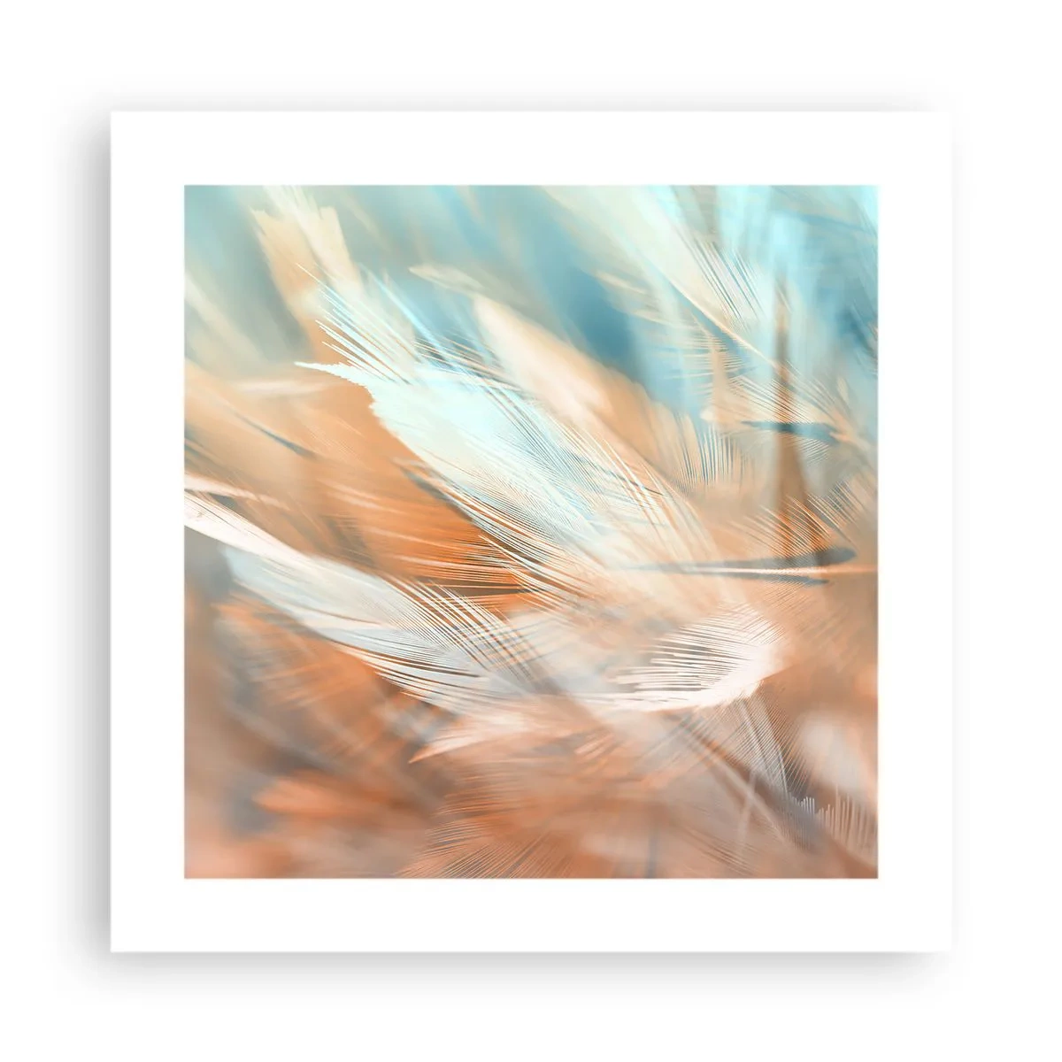 Affiche - Poster - Au pays de la douceur - 40x40 cm