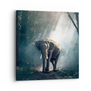 Impression sur toile - Image sur toile - Une balade tranquille - 40x40 cm