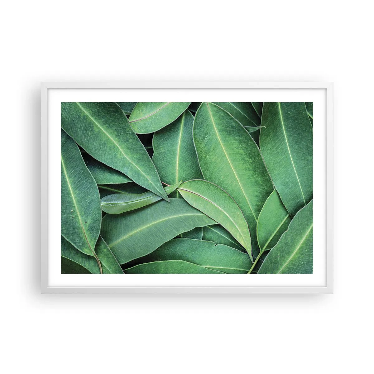 Affiche dans un cadre blanc - Poster - Juteux et frais - 70x50 cm