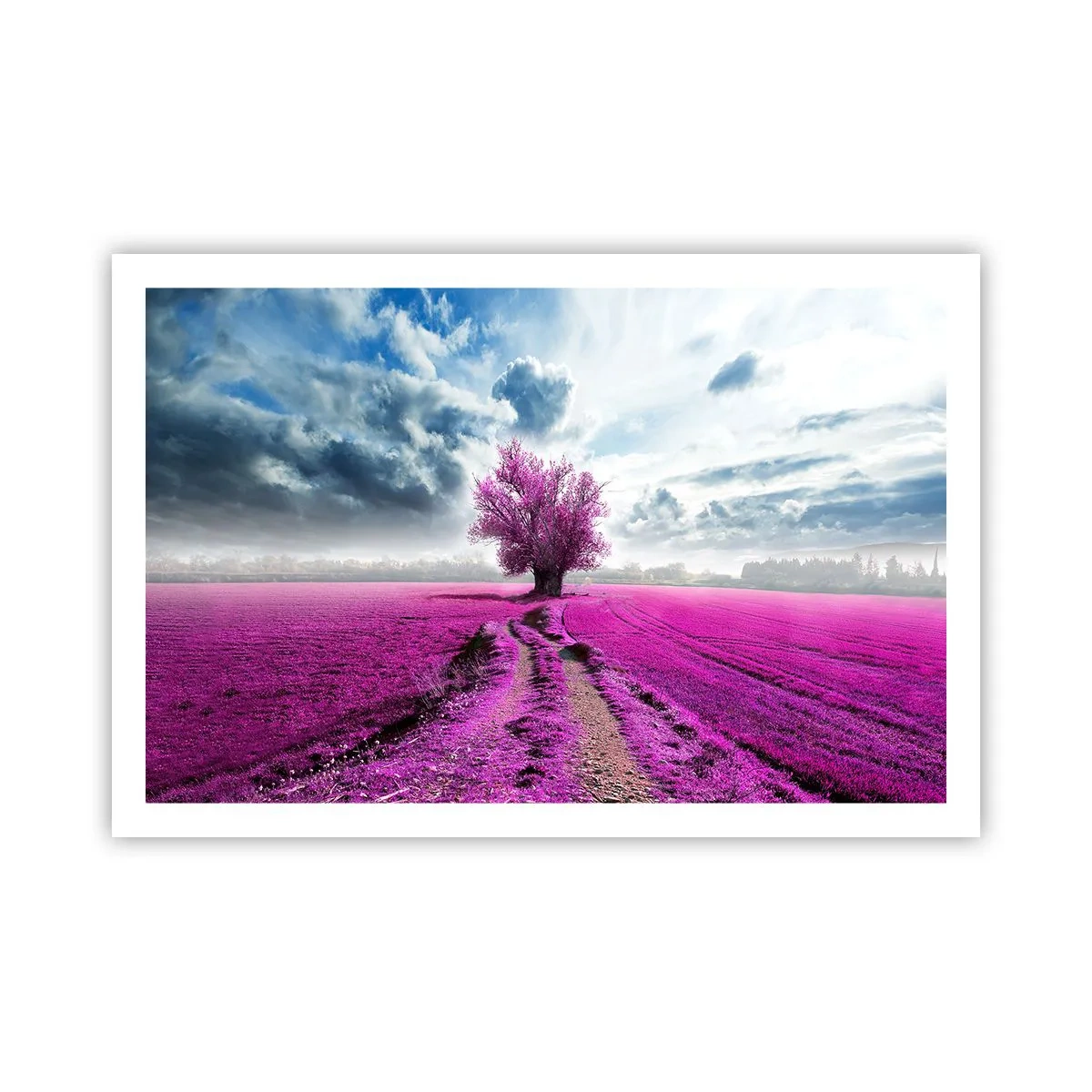 Affiche - Poster - Lande - nature sauvage - 91x61 cm