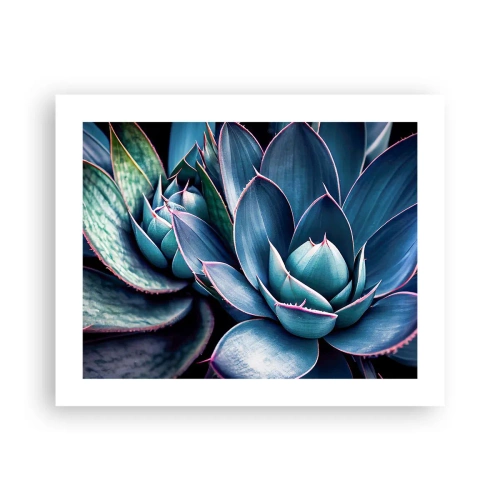 Affiche - Poster - Force vital - 50x40 cm