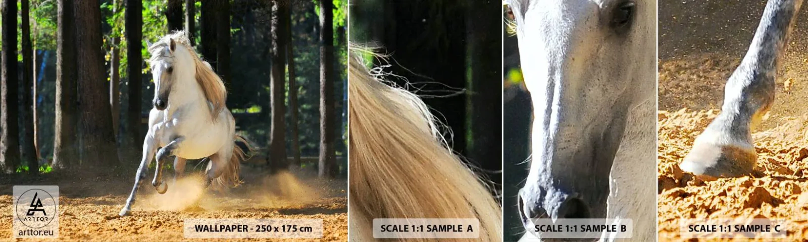 Échantillon De Papier Peint Standard Eco - Comme dans un roman fantastique - Animaux, Cheval, Paysage - 100x30 cm