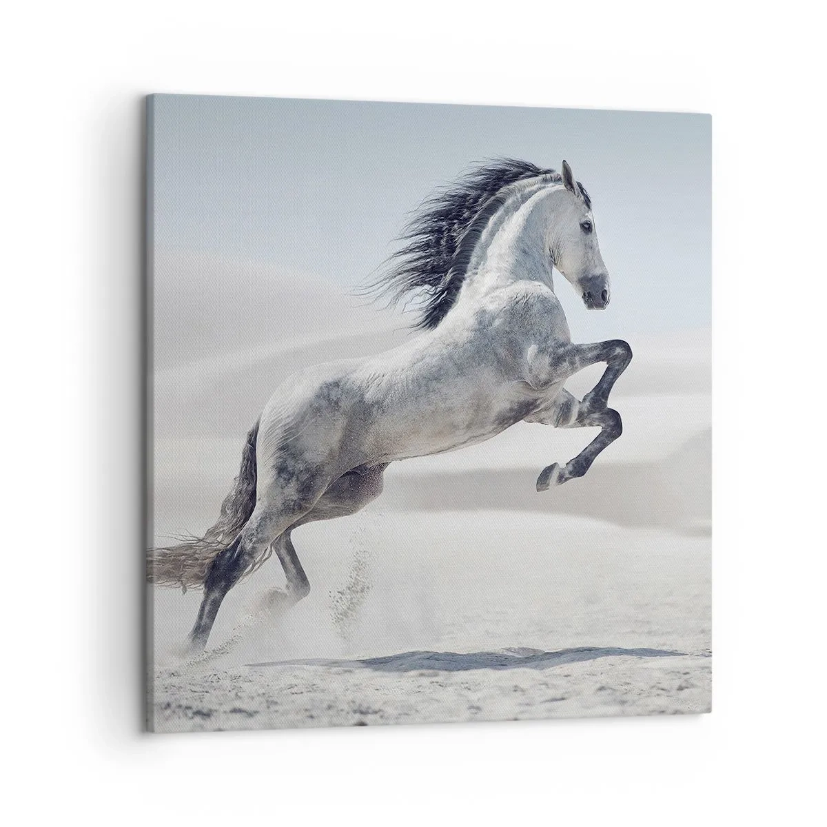 Impression sur toile - Image sur toile - Prince arabe - 50x50 cm