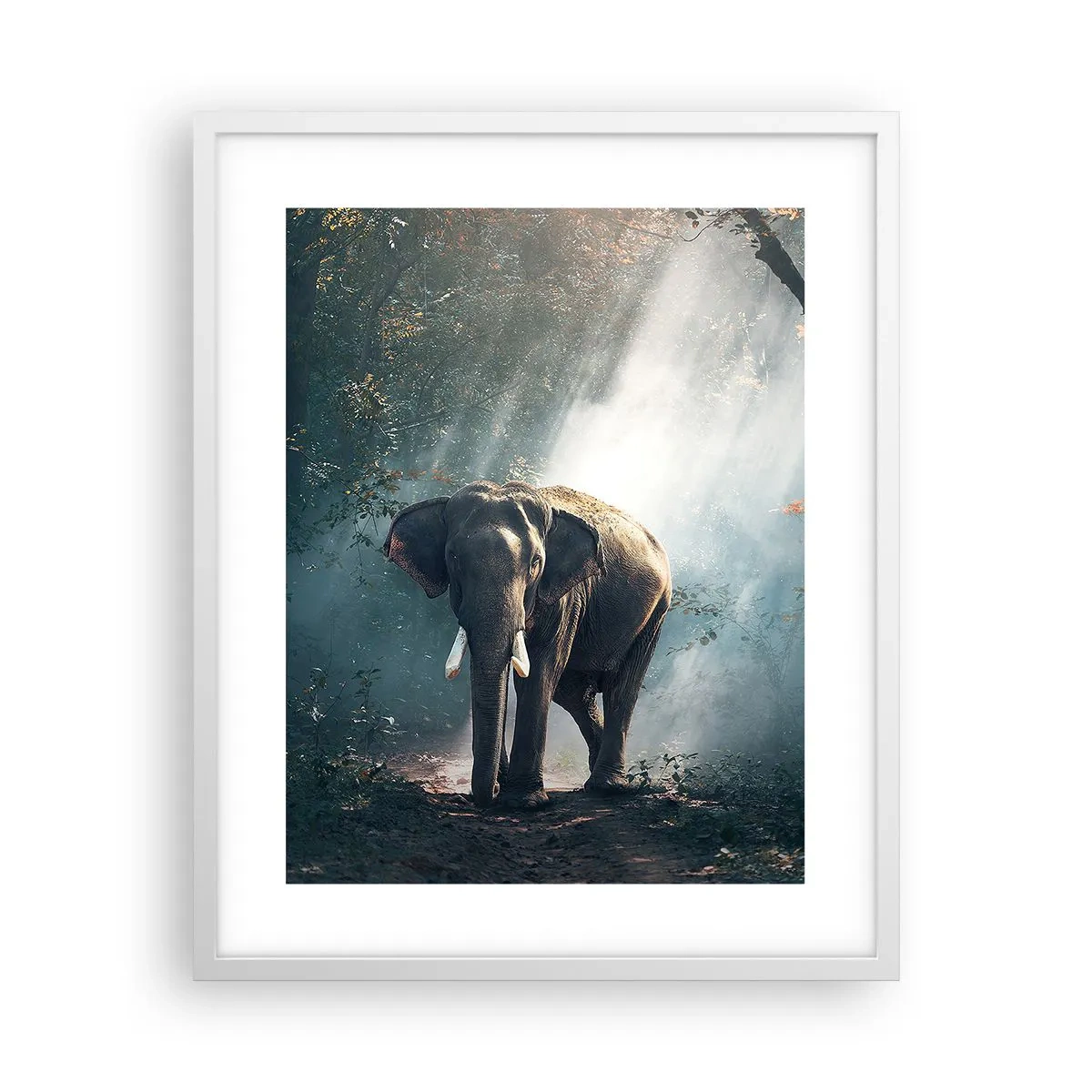 Affiche dans un cadre blanc - Poster - Une balade tranquille - 40x50 cm