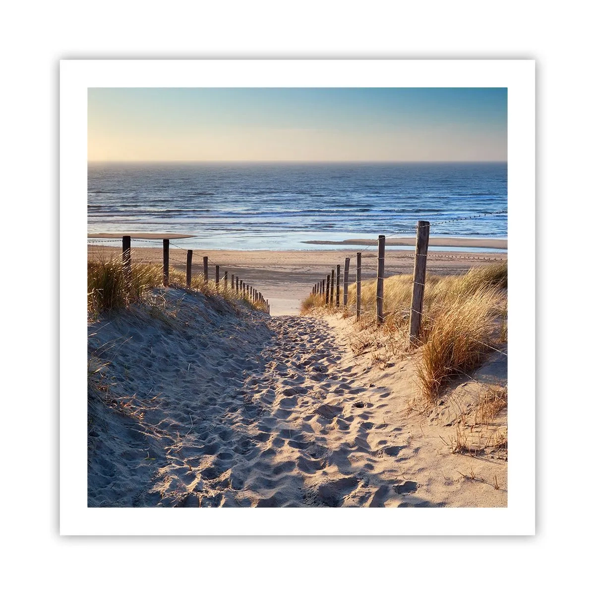 Affiche - Poster - Le bruit de la mer, le chant des oiseaux, une plage sauvage parmi les herbes… - 60x60 cm