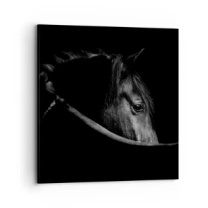 Impression sur toile - Image sur toile - Prince Noir - 70x70 cm