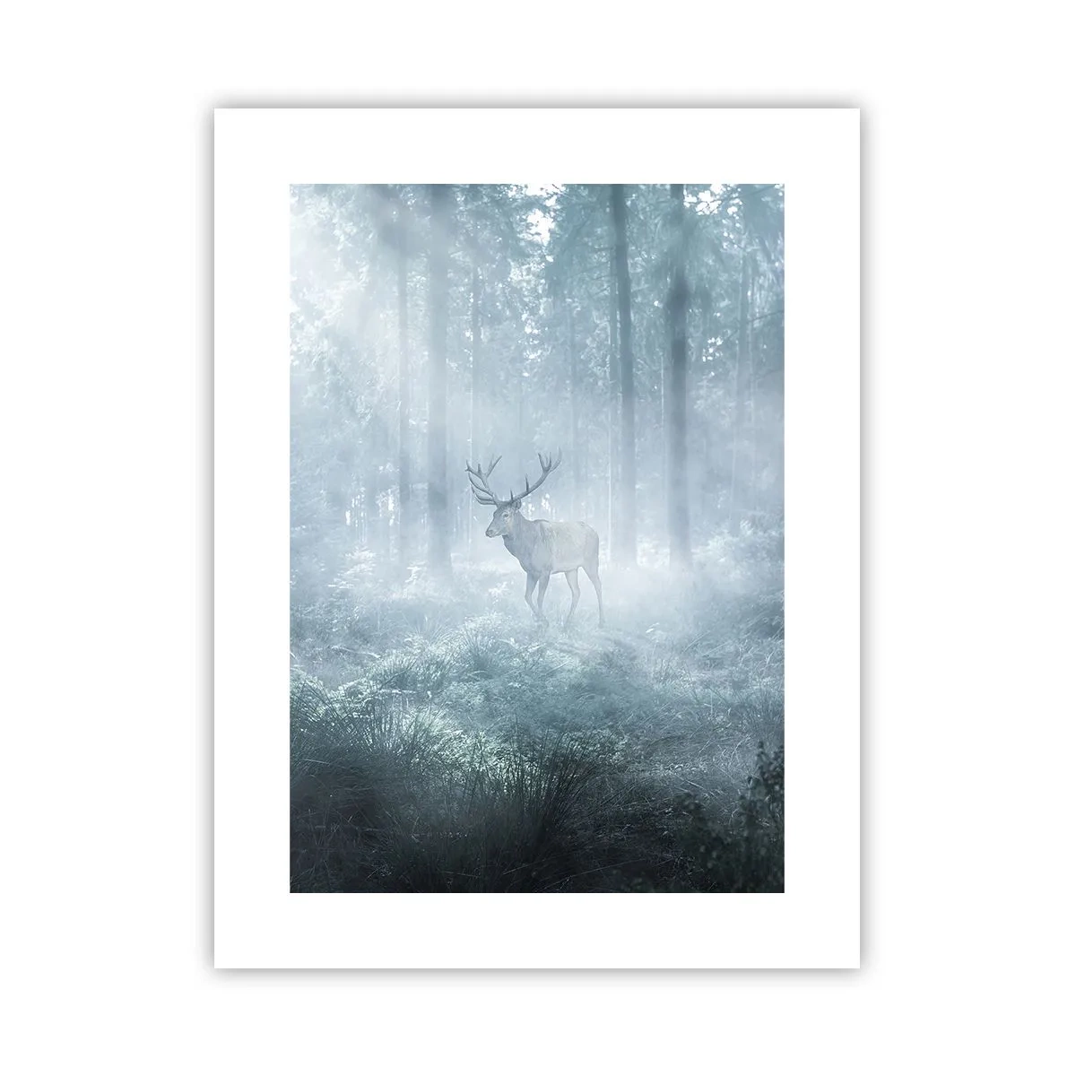 Affiche - Poster - Visite matinale du domaine - 30x40 cm