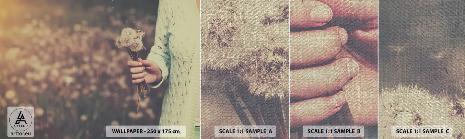 Échantillon de Papier Peint Premium Canvas - Merci de les garder - Pissenlit, Prairie, Nature - 100x30 cm