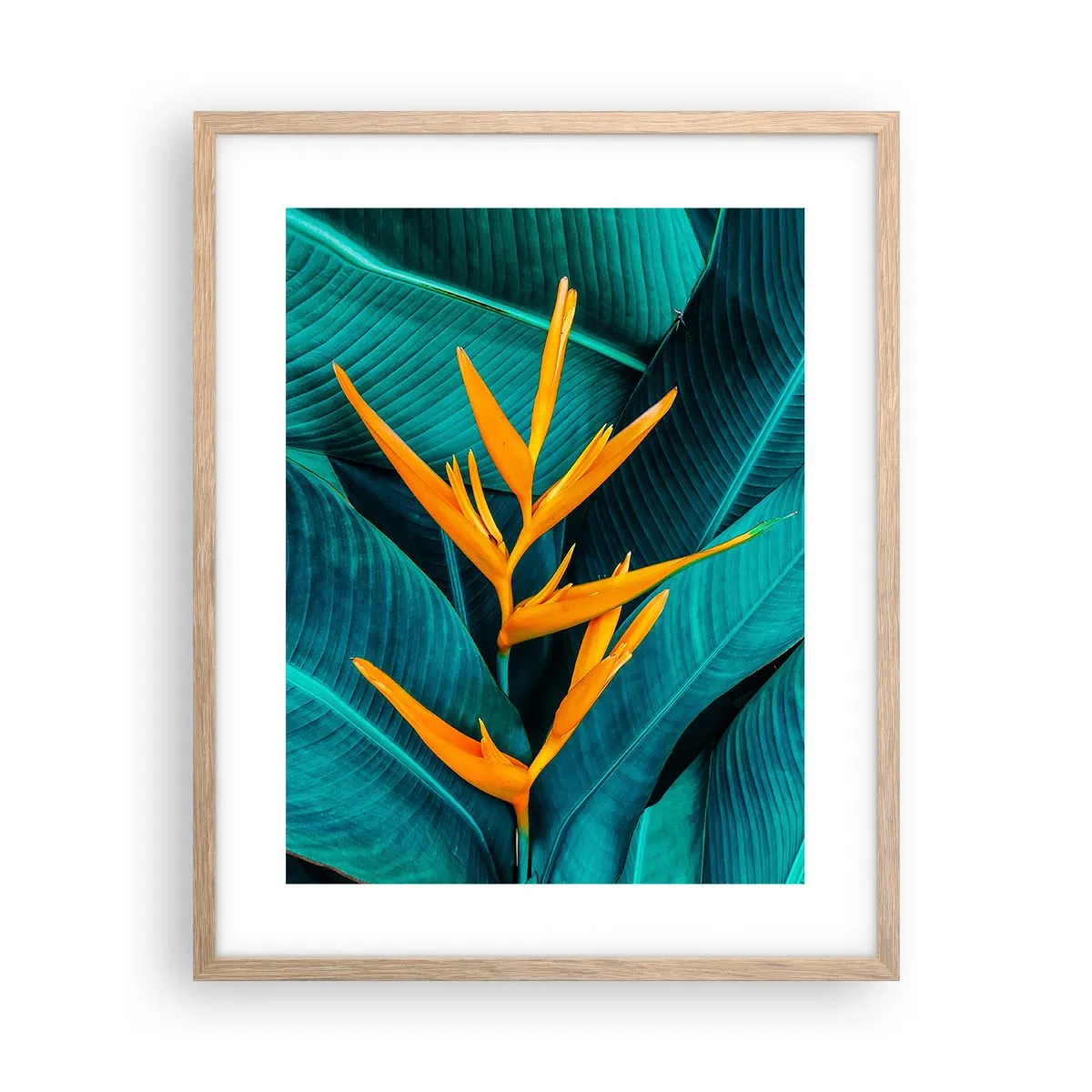 Affiche dans un chêne clair - Poster - Fleur d'Eden - 40x50 cm