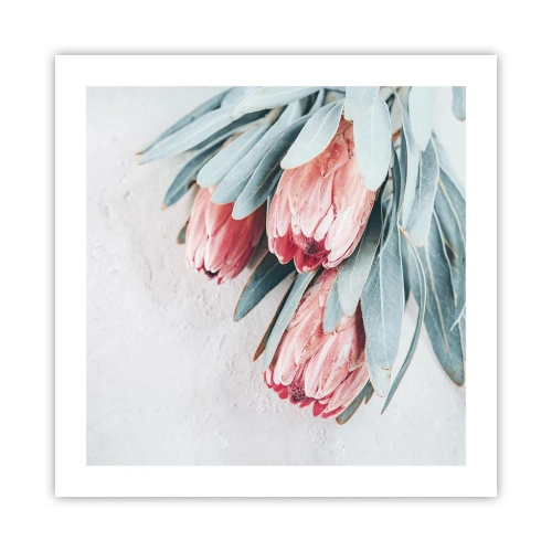 Affiche - Poster - Honte de leur propre beauté - 50x50 cm