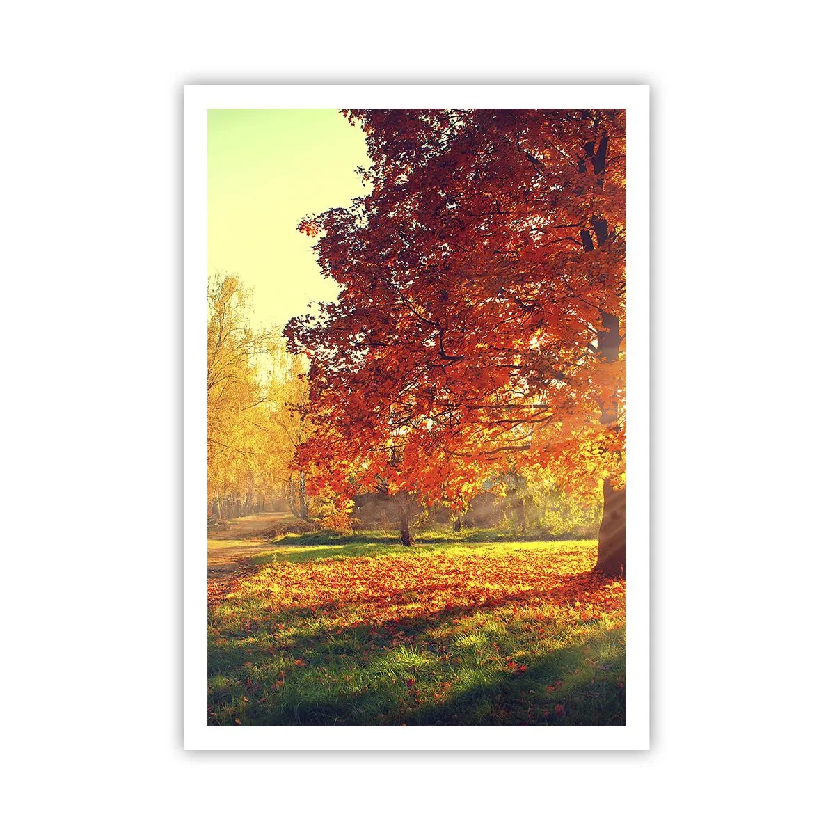 Affiche - Poster - Le roux est beau - 70x100 cm