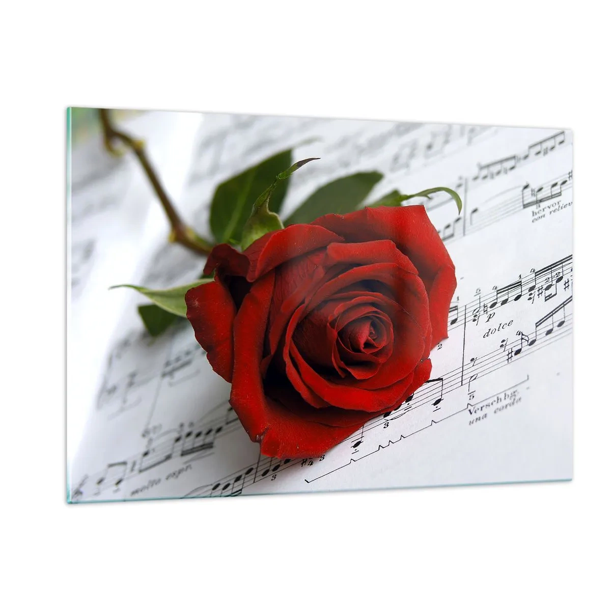 Impression sur verre - Image sur verre - Une rose rouge sur un fond de notes de musique - 120x80cm - Musique des sentiments en écarlate - Décoration murale moderne pour le salon et la chambre ARTTOR