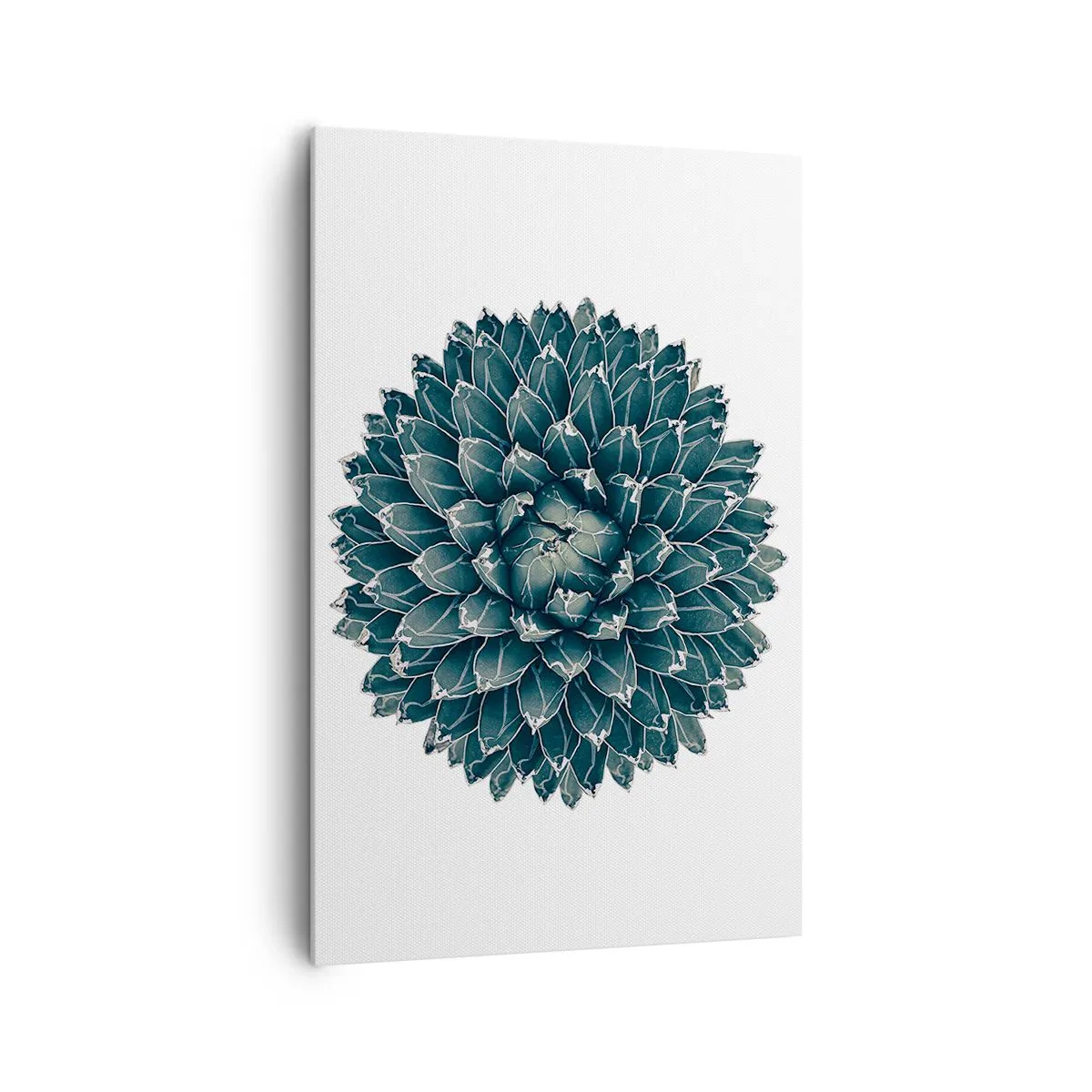 Impression sur toile - Image sur toile - Plante succulente symétrique sur fond blanc - 80x120cm - Étoile du désert - Décoration murale moderne pour le salon et la chambre ARTTOR