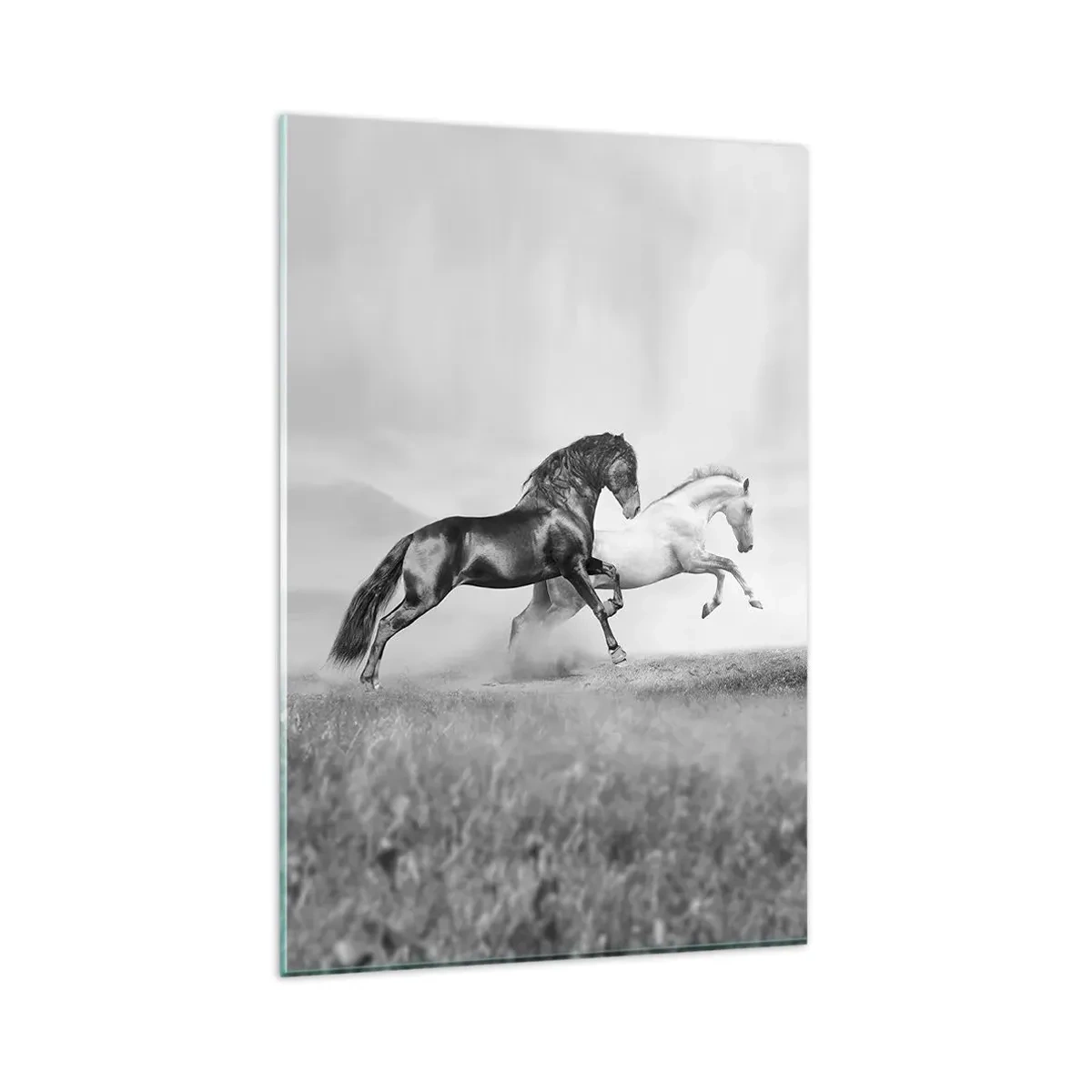 Impression sur verre - Image sur verre - Deux chevaux au galop dans une composition dynamique en noir et blanc - 80x120cm - Anges et démons - Décoration murale moderne pour le salon et la chambre ARTTOR