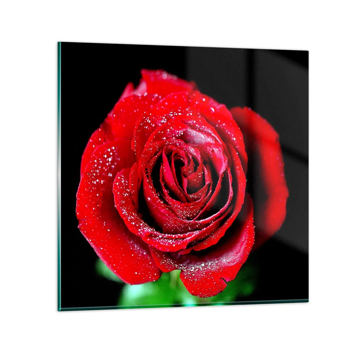 Impression sur verre - Image sur verre - C'est ça l'amour - 60x60 cm
