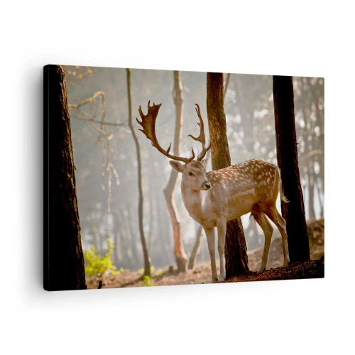Impression sur toile - Image sur toile - Cerf dans la forêt dans le brouillard du matin - 70x50cm - La lumière de la jeunesse - Décoration murale moderne pour le salon et la chambre ARTTOR