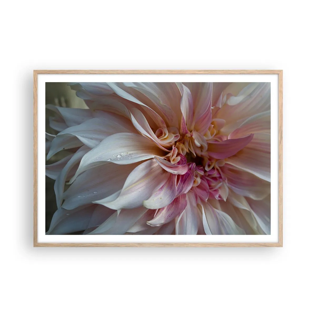 Affiche dans un chêne clair - Poster - Fraîcheur fleurissante - 100x70 cm