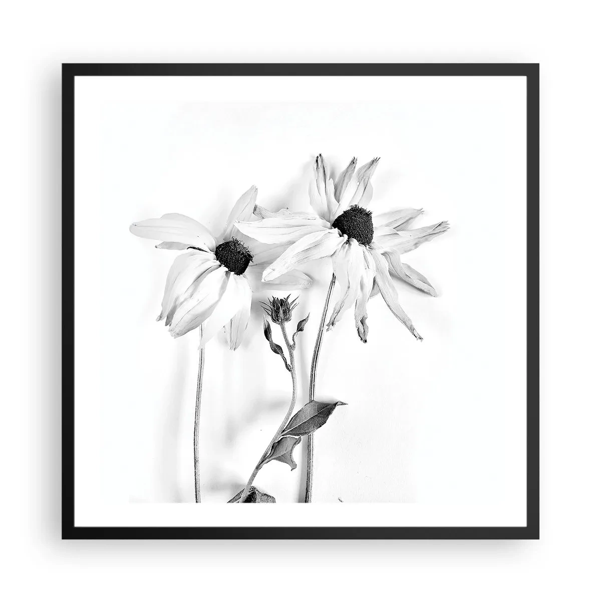 Affiche dans un cadre noir - Poster - Personne ne souhaite être seul - 60x60 cm