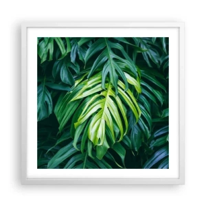 Affiche dans un cadre blanc - Poster - Immergez-vous dans la fraîcheur - 50x50 cm